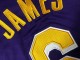 Los Angeles Lakers #6 Lebron James Purple Swingman Jersey - Embroider Edition