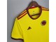 Colombia Blank Home Soccer Jersey