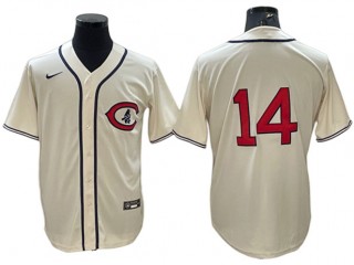 Chicago Cubs #14 Ernie Banks Cream Field Of Dreams Jersey