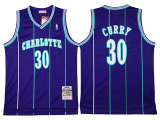 Charlotte Hornets #30 Dell Curry Purple Hardwood Classic Jersey