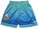 Charlotte Hornets Teal 75th Anniversary City Edition Basketball Shorts