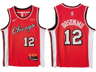 Chicago Bulls #12 Ayo Dosunmu Red City Edition Swingman Jersey