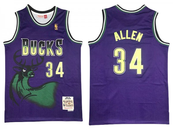 M&N Milwaukee Bucks #34 Ray Allen Purple 1996-1997 Hardwood Classics Jersey