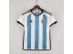 Argentina Blank 2022 Home Soccer Jersey